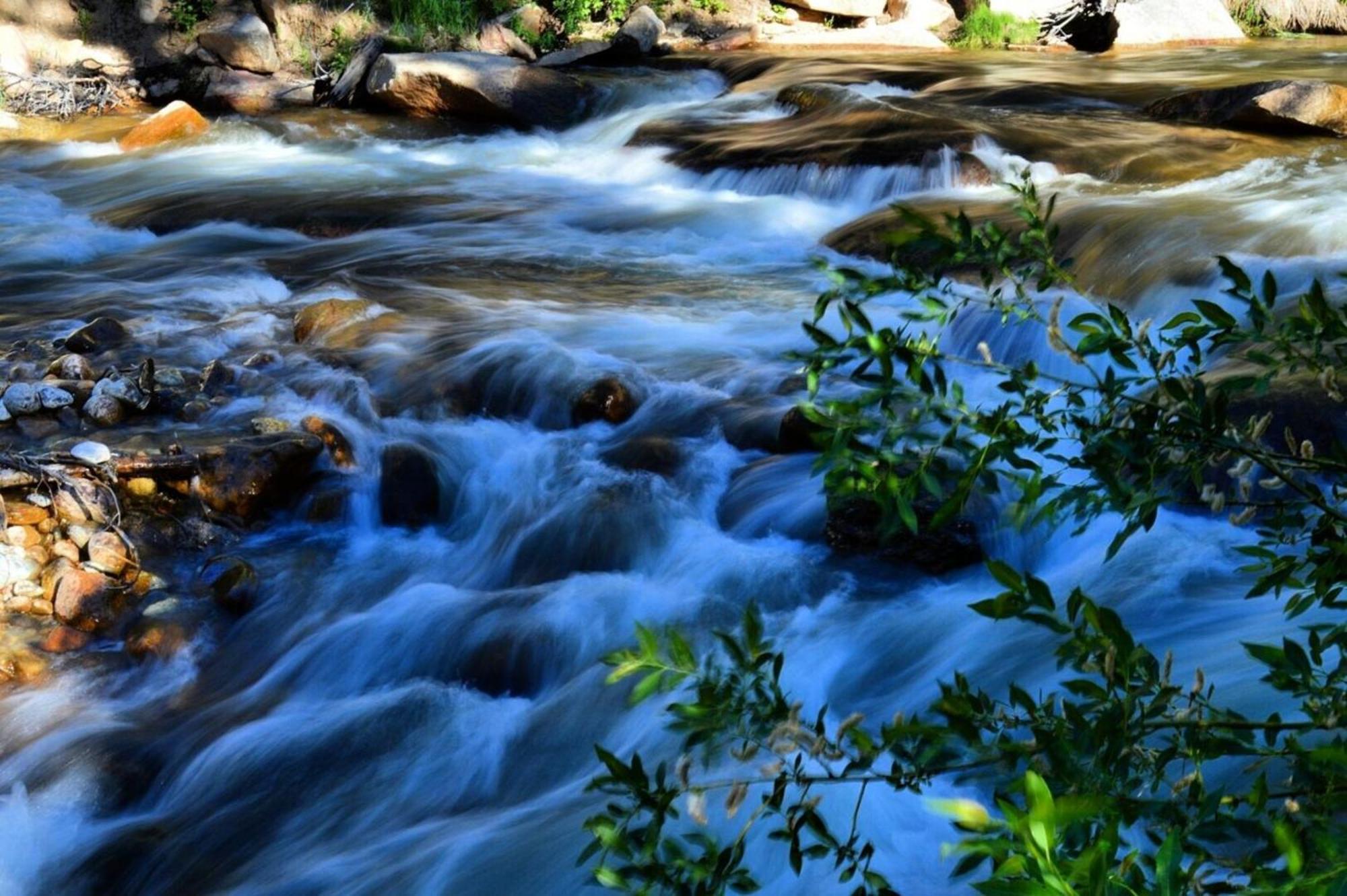 The Inn On Fall River & Fall River Cabins Estes Park Esterno foto